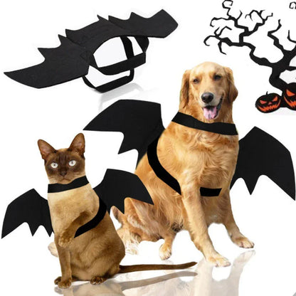 Halloween Bat Costume for Dogs Pet Wings Cat Dress up Accessory Puppy Party Outfit Pet Supplies