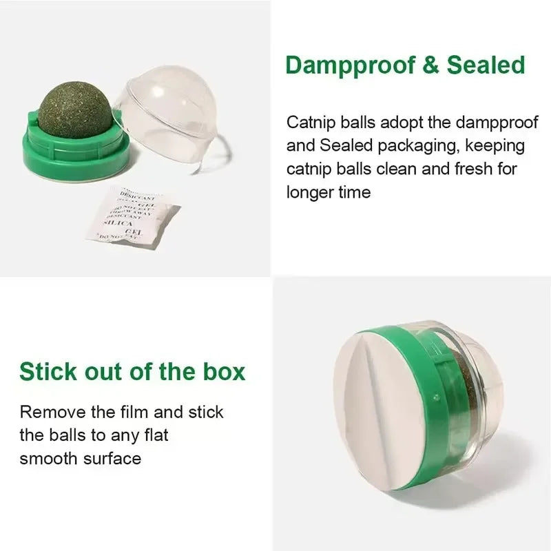 Catnip Cat Wall Stick-On Ball Toy Scratchers Treats Healthy Natural Removes Balls to Promote Digestion Cat Grass Snack