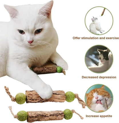1Pc Cat Cleaning Teeth Pure Natural Catnip Cat Molar Toothpaste Stick Silvervine Actinidia Fruit Matatabi Cat Snack Stick