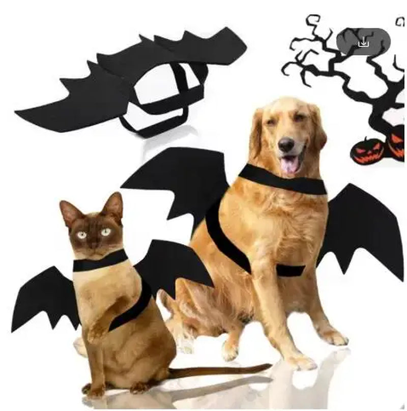 Halloween Bat Costume for Dogs Pet Wings Cat Dress up Accessory Puppy Party Outfit Pet Supplies