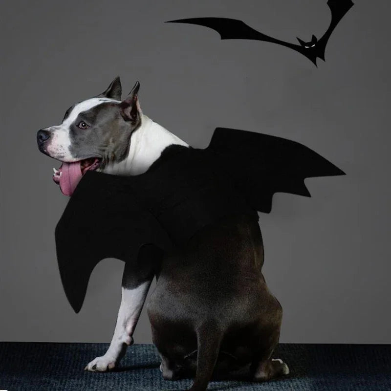 Halloween Bat Costume for Dogs Pet Wings Cat Dress up Accessory Puppy Party Outfit Pet Supplies