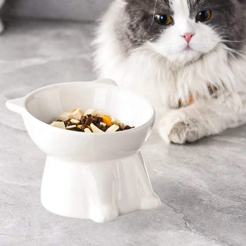 15° Tilted Elevated Cat Bowl Plastic Raised Cat Food Bowl Anti-Vomiting Neck Protection Anti-Tip Pet Feeding Bowl for Cats Kitte