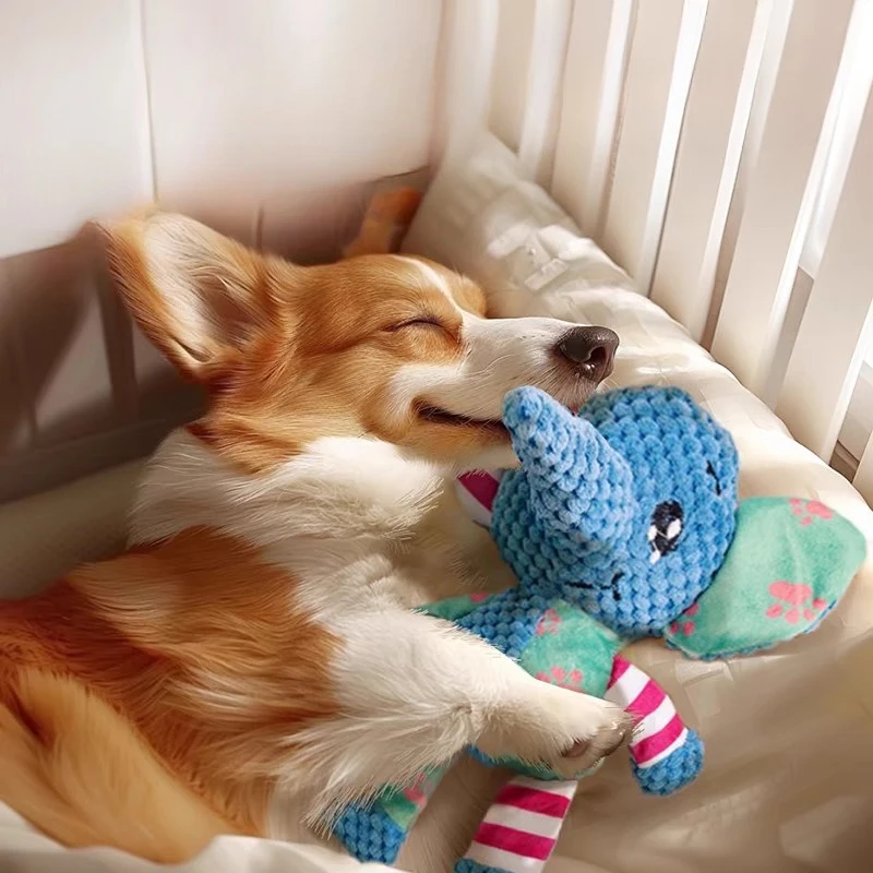 Bite-Resistant Squeaky Plush Dog Chew & Teeth Cleaning Toy