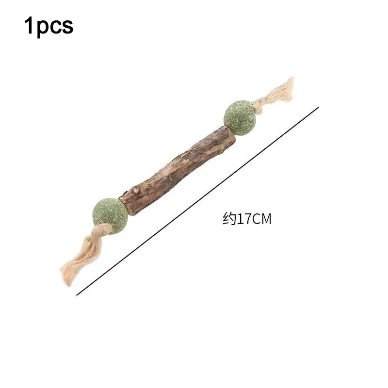 1Pc Cat Cleaning Teeth Pure Natural Catnip Cat Molar Toothpaste Stick Silvervine Actinidia Fruit Matatabi Cat Snack Stick