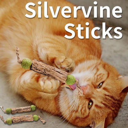 1Pc Cat Cleaning Teeth Pure Natural Catnip Cat Molar Toothpaste Stick Silvervine Actinidia Fruit Matatabi Cat Snack Stick