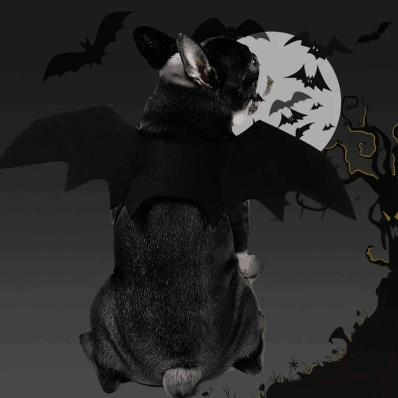 Halloween Bat Costume for Dogs Pet Wings Cat Dress up Accessory Puppy Party Outfit Pet Supplies