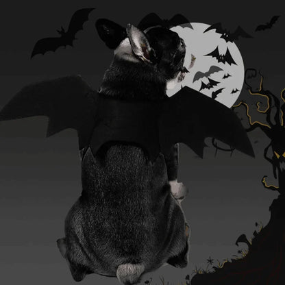 Halloween Bat Costume for Dogs Pet Wings Cat Dress up Accessory Puppy Party Outfit Pet Supplies