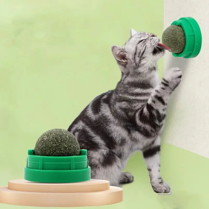 Catnip Cat Wall Stick-On Ball Toy Scratchers Treats Healthy Natural Removes Balls to Promote Digestion Cat Grass Snack